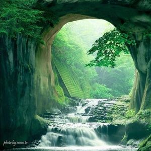 Meet your Posher, Gerald